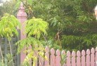 Willunga Hillplant-nursery-6.jpg; ?>